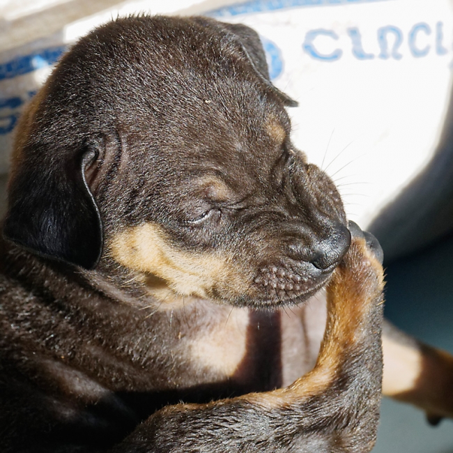 Famille et amis-MAI17-017